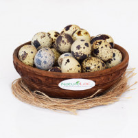 Quail Eggs (Kada Mutta Batair Ka Anda)